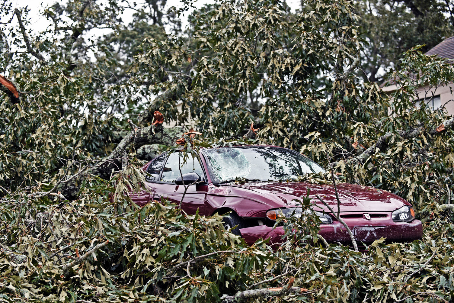 Hurricane Michael aftermath